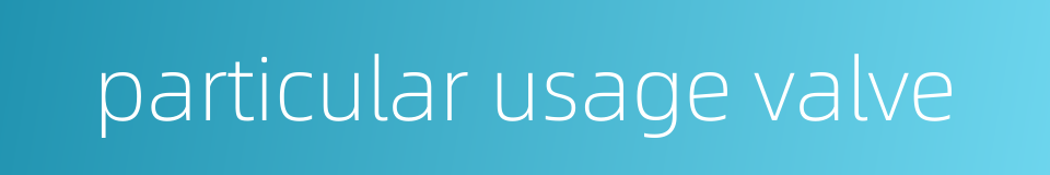 particular usage valve的同义词