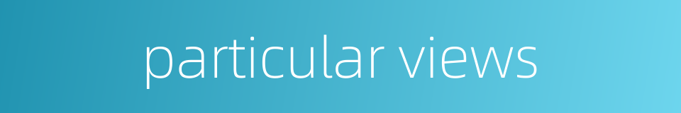 particular views的同义词