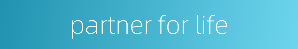partner for life的同义词