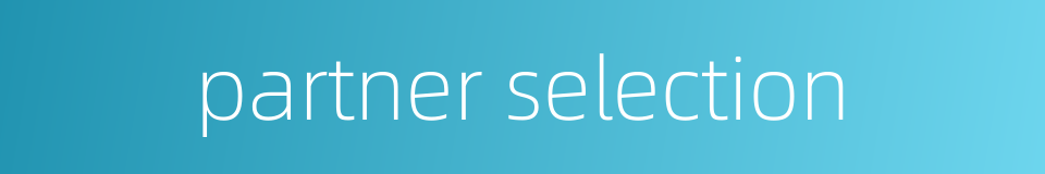 partner selection的同义词