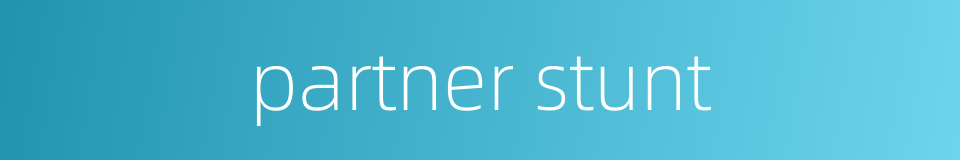 partner stunt的同义词