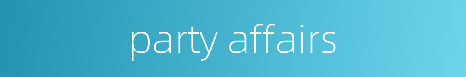 party affairs的同义词