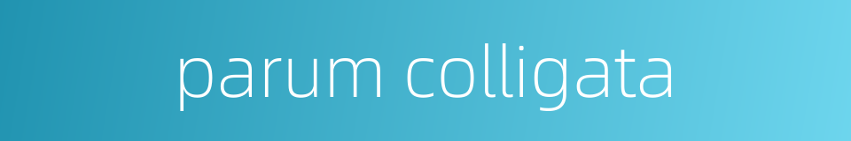 parum colligata的同义词