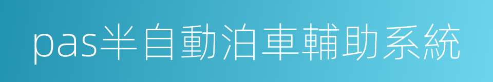 pas半自動泊車輔助系統的同義詞