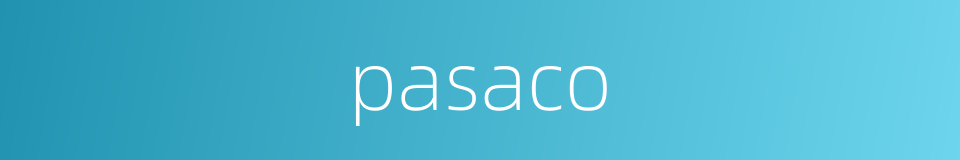 pasaco的同义词