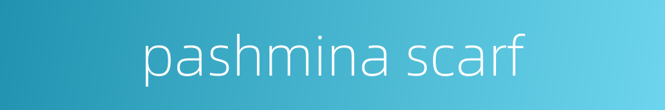 pashmina scarf的同义词