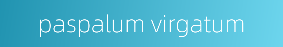 paspalum virgatum的同义词