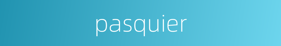 pasquier的同义词