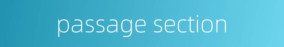 passage section的同义词