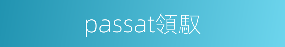 passat領馭的同義詞