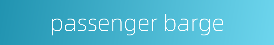 passenger barge的同义词