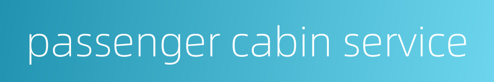 passenger cabin service的同义词