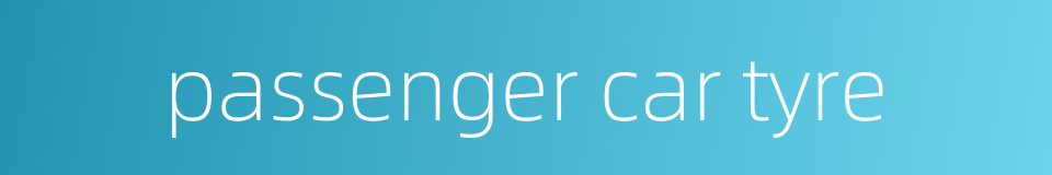 passenger car tyre的同义词