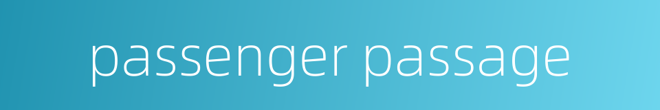 passenger passage的同义词
