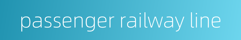 passenger railway line的同义词