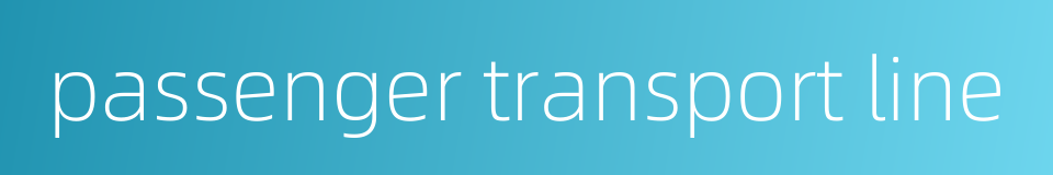 passenger transport line的同义词