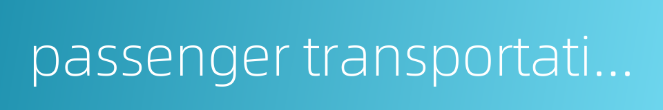 passenger transportation market的同义词