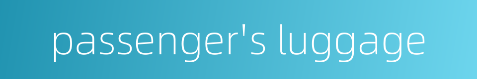 passenger's luggage的同义词