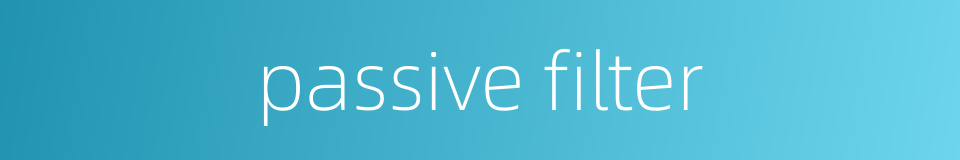 passive filter的同义词