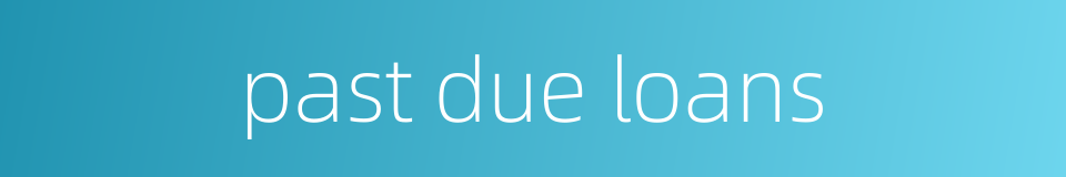 past due loans的同义词