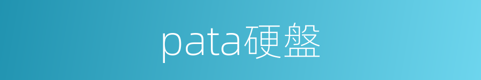 pata硬盤的同義詞
