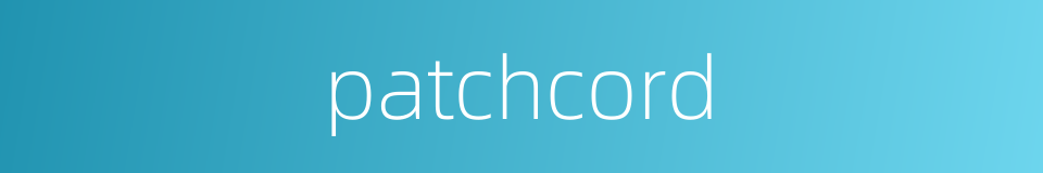 patchcord的同义词