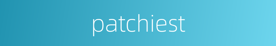 patchiest的同义词