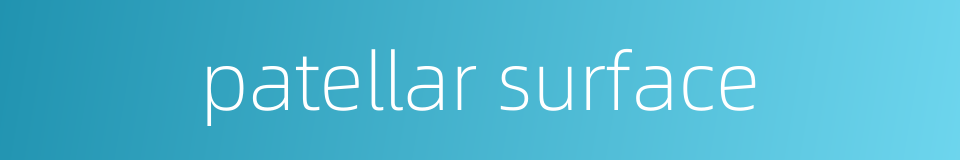 patellar surface的同义词
