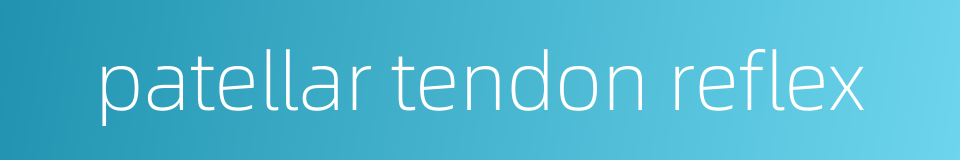 patellar tendon reflex的同义词