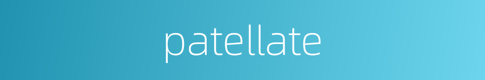 patellate的同义词