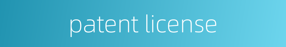 patent license的同义词