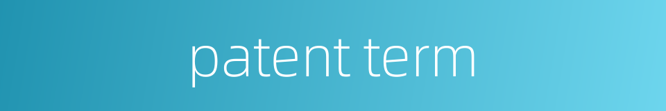 patent term的同义词