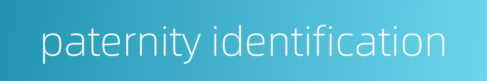 paternity identification的同义词