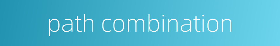 path combination的同义词
