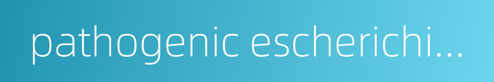 pathogenic escherichia coli的同义词