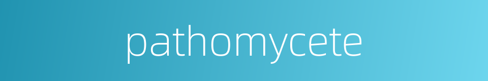 pathomycete的同义词
