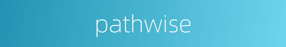 pathwise的同义词