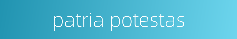 patria potestas的同义词