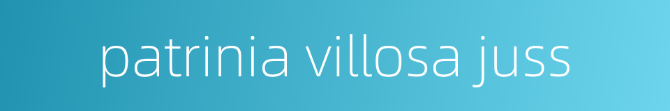 patrinia villosa juss的同义词