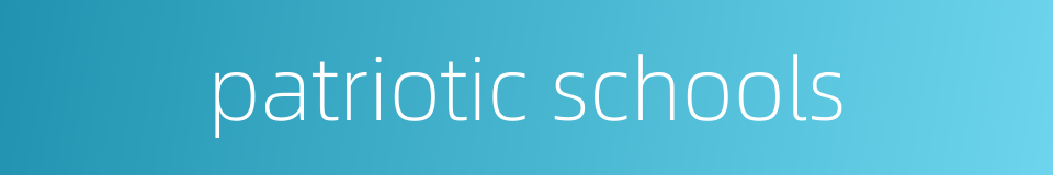 patriotic schools的同义词