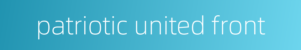 patriotic united front的同义词
