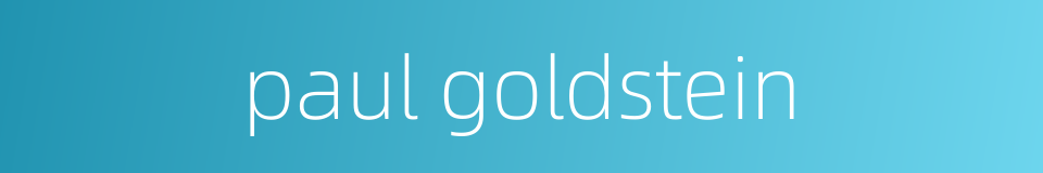 paul goldstein的同义词