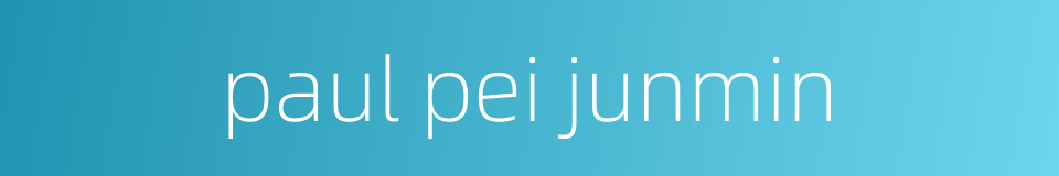 paul pei junmin的同义词
