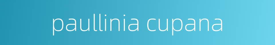paullinia cupana的同义词