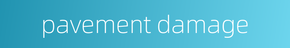 pavement damage的同义词
