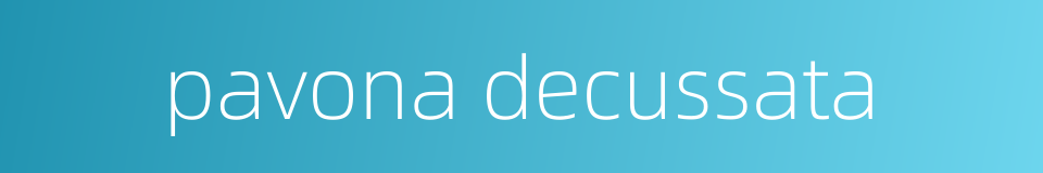 pavona decussata的同义词