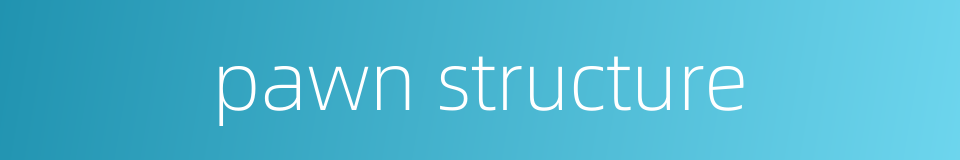 pawn structure的同义词