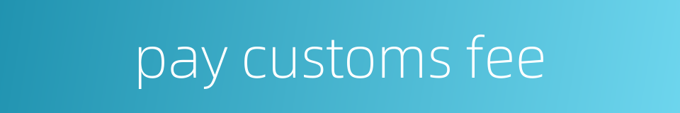 pay customs fee的同义词
