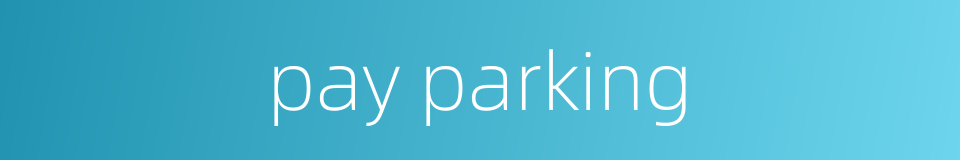 pay parking的同义词