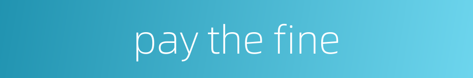 pay the fine的同义词